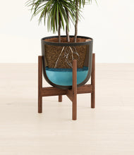 Load image into Gallery viewer, Stone Black stand:walnut
