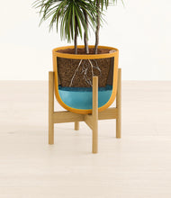 Load image into Gallery viewer, Sunset Orange stand:bamboo
