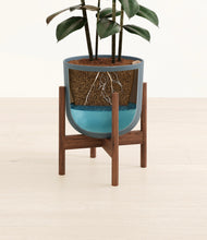 Load image into Gallery viewer, Iron Gray stand:walnut
