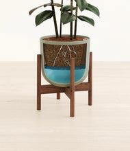 Load image into Gallery viewer, Sage Green stand:walnut
