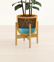 Load image into Gallery viewer, Sunset Orange stand:bamboo
