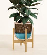 Load image into Gallery viewer, Sandy Pink stand:bamboo
