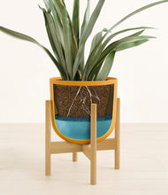 Load image into Gallery viewer, Sunset Orange stand:bamboo
