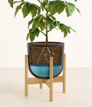 Load image into Gallery viewer, Stone Black stand:bamboo
