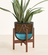 Load image into Gallery viewer, Stone Black stand:walnut
