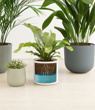 Load image into Gallery viewer, Earthy
