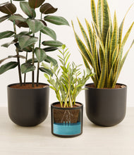 Load image into Gallery viewer, Charcoal
