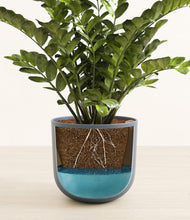 Load image into Gallery viewer, Iron Gray
