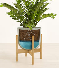 Load image into Gallery viewer, Sage Green stand:bamboo
