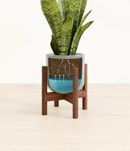 Load image into Gallery viewer, Reactive Aqua stand:walnut
