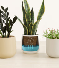 Load image into Gallery viewer, Cotton
