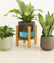 Load image into Gallery viewer, Countryside stand:light
