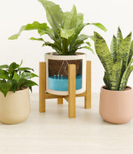 Load image into Gallery viewer, Sandy stand:light
