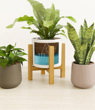 Load image into Gallery viewer, Woodland stand:light
