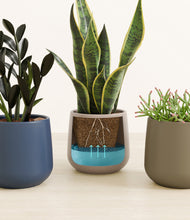 Load image into Gallery viewer, Winding River
