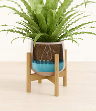 Load image into Gallery viewer, Eternal Gray stand:bamboo
