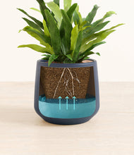 Load image into Gallery viewer, Deep Navy
