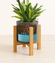 Load image into Gallery viewer, Dark Olive stand:light
