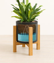 Load image into Gallery viewer, Black stand:light
