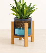 Load image into Gallery viewer, Deep Navy stand:light
