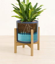 Load image into Gallery viewer, Deep Navy stand:bamboo
