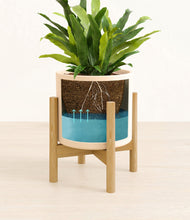 Load image into Gallery viewer, Cream stand:bamboo
