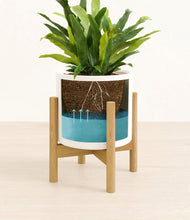 Load image into Gallery viewer, White stand:bamboo
