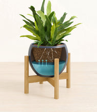 Load image into Gallery viewer, Deep Navy stand:bamboo
