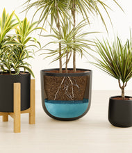 Load image into Gallery viewer, Charcoal
