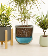 Load image into Gallery viewer, Countryside
