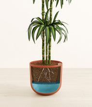 Load image into Gallery viewer, Earth Red
