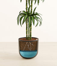 Load image into Gallery viewer, Stone Black
