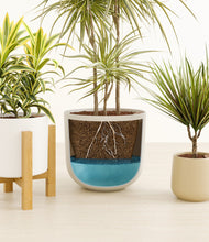 Load image into Gallery viewer, Misty Morning
