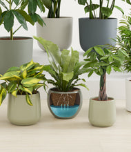 Load image into Gallery viewer, Countryside
