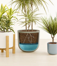 Load image into Gallery viewer, Whispering Waves
