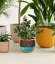 Load image into Gallery viewer, Evening Sky stand:all
