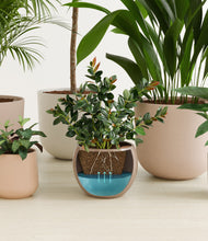 Load image into Gallery viewer, Sandy stand:all
