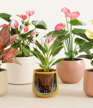 Load image into Gallery viewer, Evening Sky stand:all
