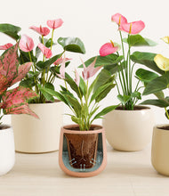 Load image into Gallery viewer, Sandy stand:all
