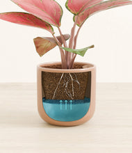 Load image into Gallery viewer, Striped Peach Pink
