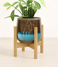 Load image into Gallery viewer, Olive stand:bamboo
