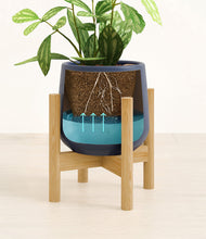 Load image into Gallery viewer, Deep Navy stand:bamboo
