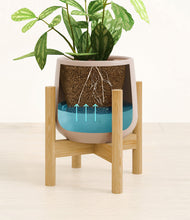 Load image into Gallery viewer, Eternal Gray stand:bamboo
