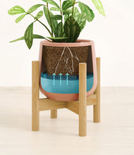 Load image into Gallery viewer, Calm Rose stand:bamboo
