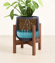 Load image into Gallery viewer, Deep Navy stand:walnut
