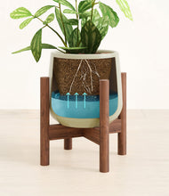 Load image into Gallery viewer, Turquoise stand:walnut
