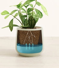 Load image into Gallery viewer, Turquoise
