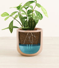 Load image into Gallery viewer, Glossy Pink
