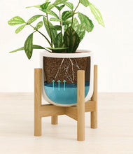 Load image into Gallery viewer, Cotton White stand:bamboo
