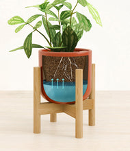 Load image into Gallery viewer, Glossy Red stand:bamboo
